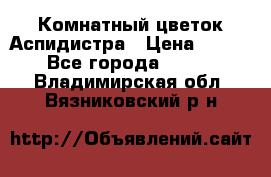 Комнатный цветок Аспидистра › Цена ­ 150 - Все города  »    . Владимирская обл.,Вязниковский р-н